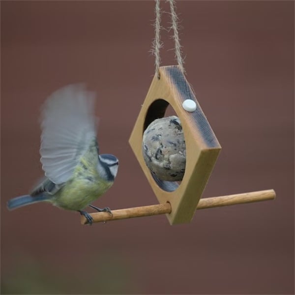 🐦Fruit bird feeder Ideal for garden💚(Handmade Eco-friendly backyard decor)