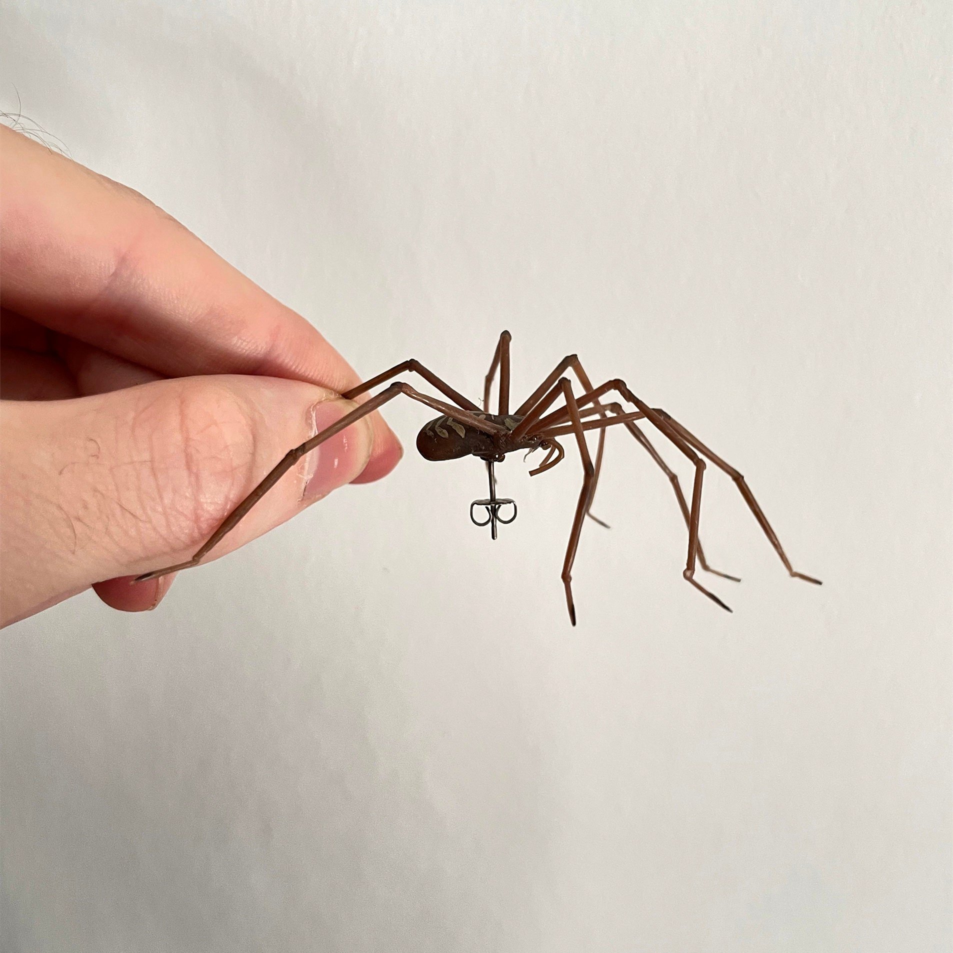 🕷🕷The Giant Spider Earring