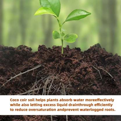 🔥 LAST DAY 60% OFF  - 🔥Premium Organic Coconut Coir Bricks for Plants(Collected from Pacific island countries)