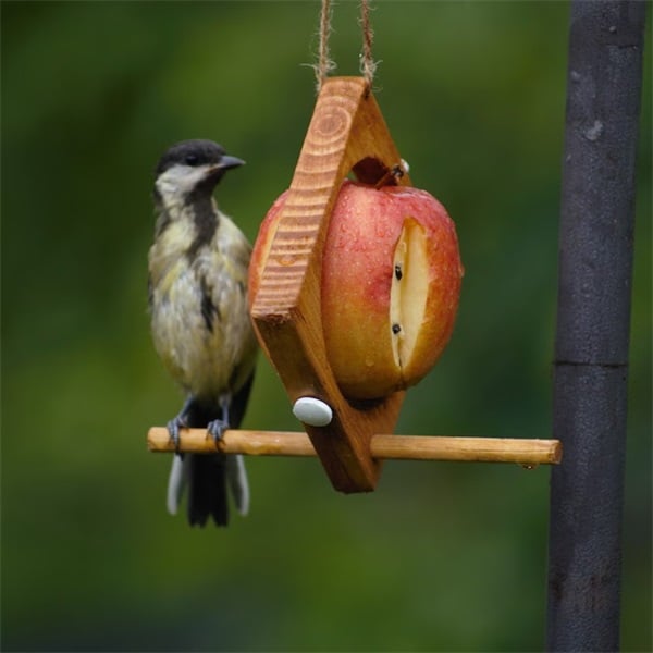 🐦Fruit bird feeder Ideal for garden💚(Handmade Eco-friendly backyard decor)