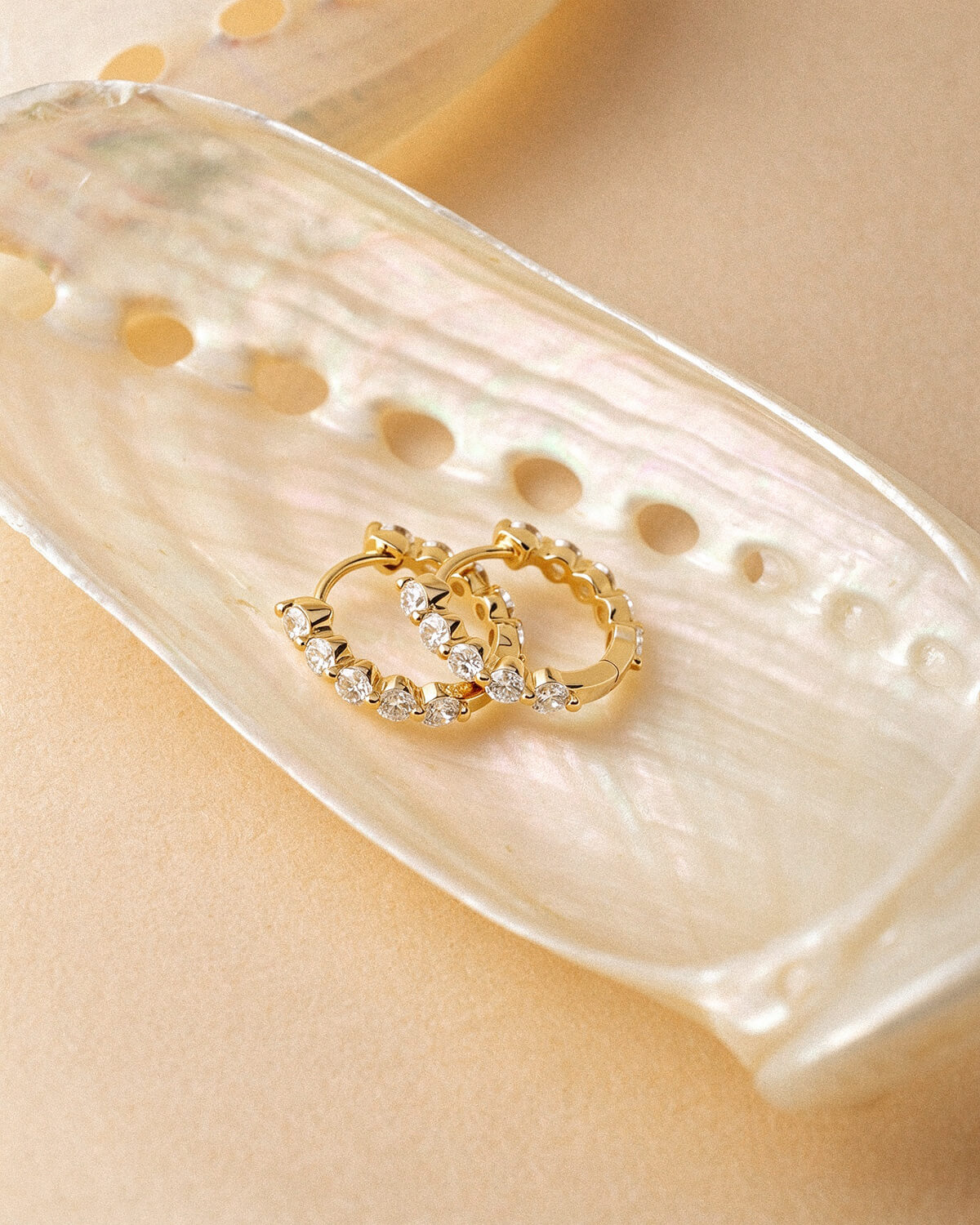 Zorevia Round Lab Diamond Hoop Earrings