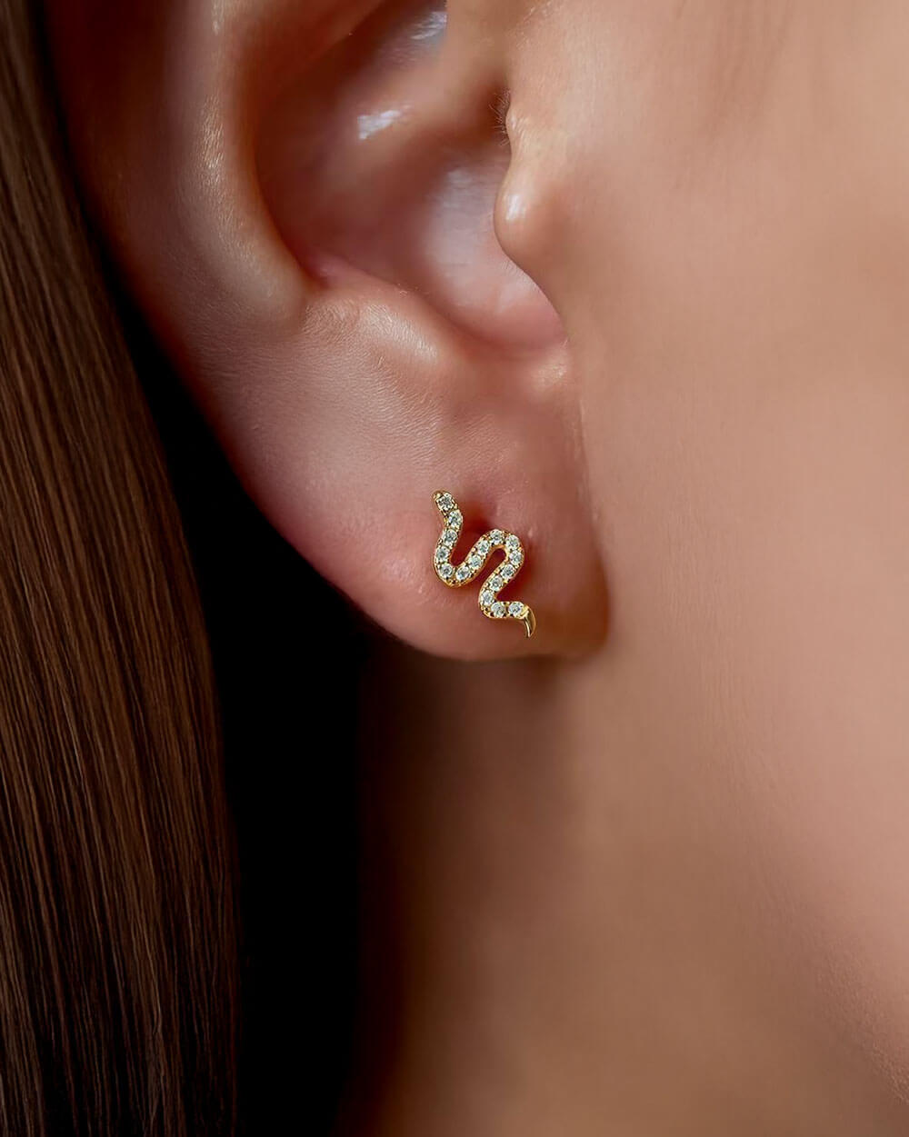 Serpent Charm – Snake Stud Earrings