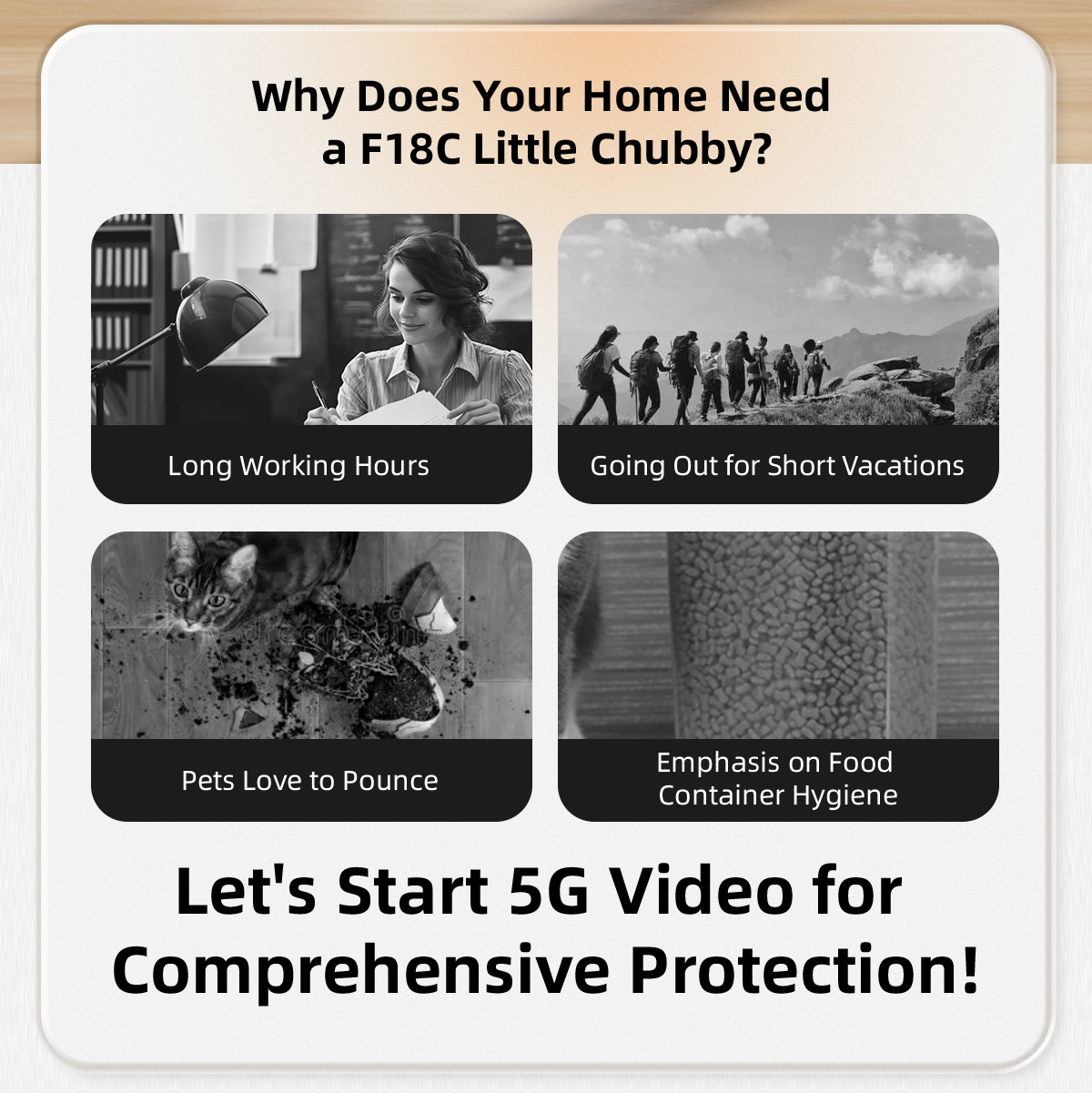 Automatic Pet Feeder-F18C