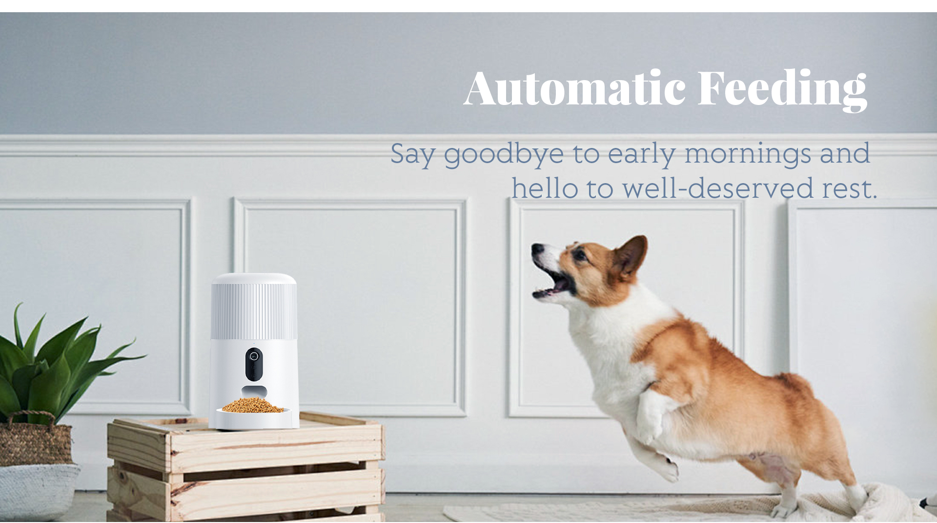 Automatic Pet Feeder-BL3