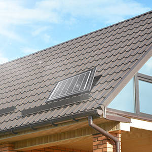 Satisfaction solar string lights