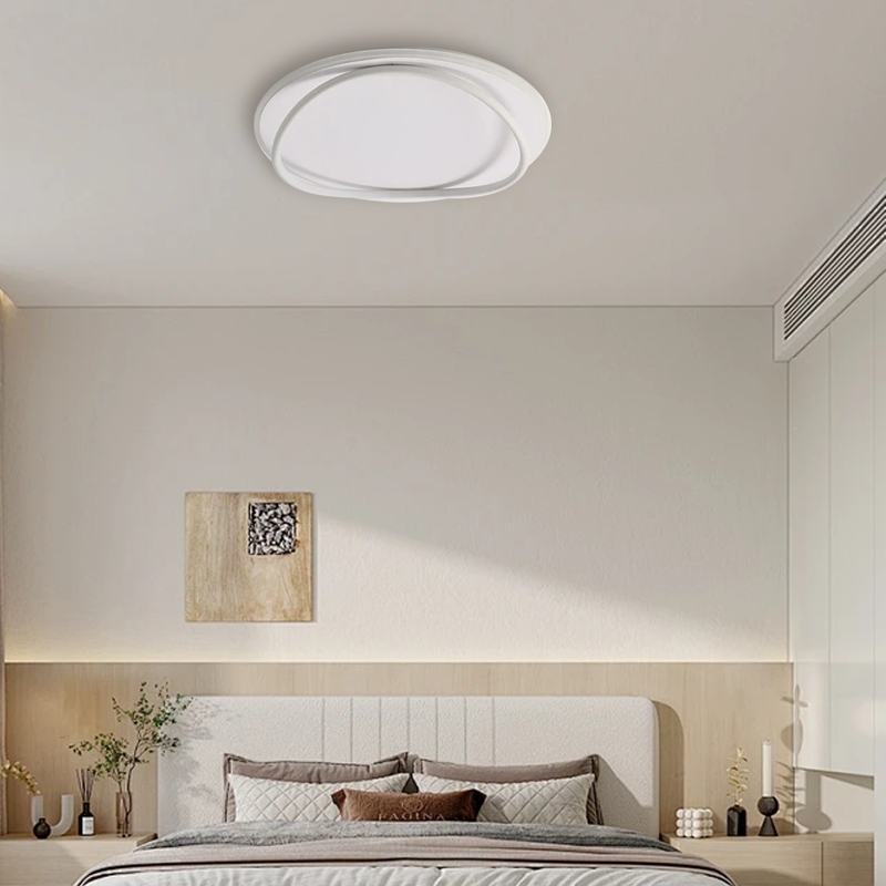 Modern Ring Ceiling Light White Black Metal Silicagel Riofu