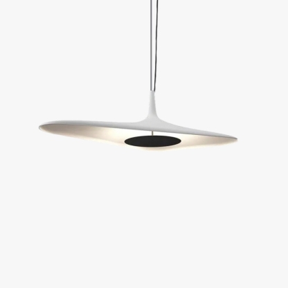 Modern Hooded Pendant Light Black White Metal Riofu 