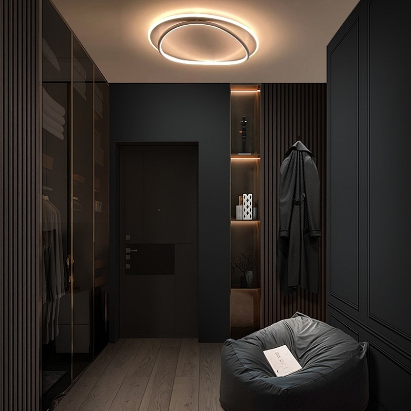 Modern Ring Ceiling Light White Black Metal Silicagel Riofu