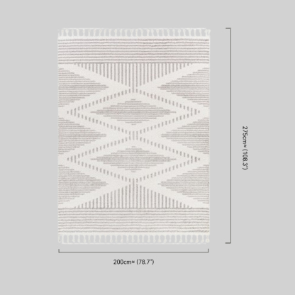 Boho Polyester Beige Carpet Living Room
