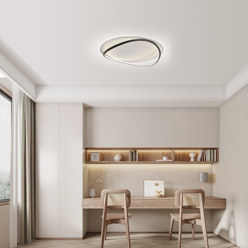 Modern Ring Ceiling Light White Black Metal Silicagel Riofu
