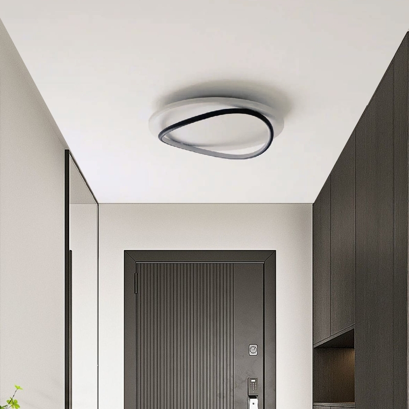 Modern Ring Ceiling Light White Black Metal Silicagel Riofu
