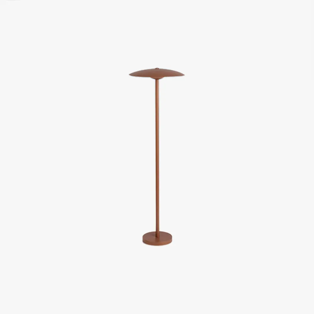 Modern Metal Hooded Black Floor Lamp Outdoor