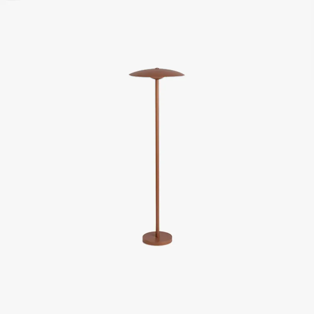 Modern Metal Hooded Black Floor Lamp Outdoor