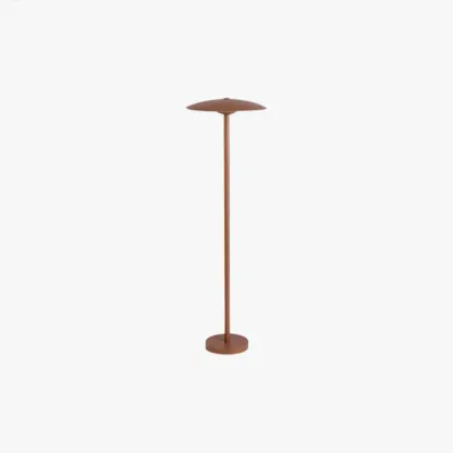 Modern Metal Hooded Black Floor Lamp Outdoor