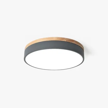 Nordic LED Round Metal/Wood Flush Mount Ceiling Light White/Green