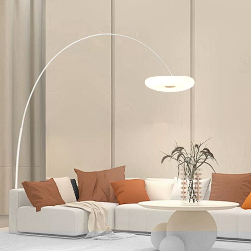 Minimalist Curved Floor Lamp Black White Metal Riofu