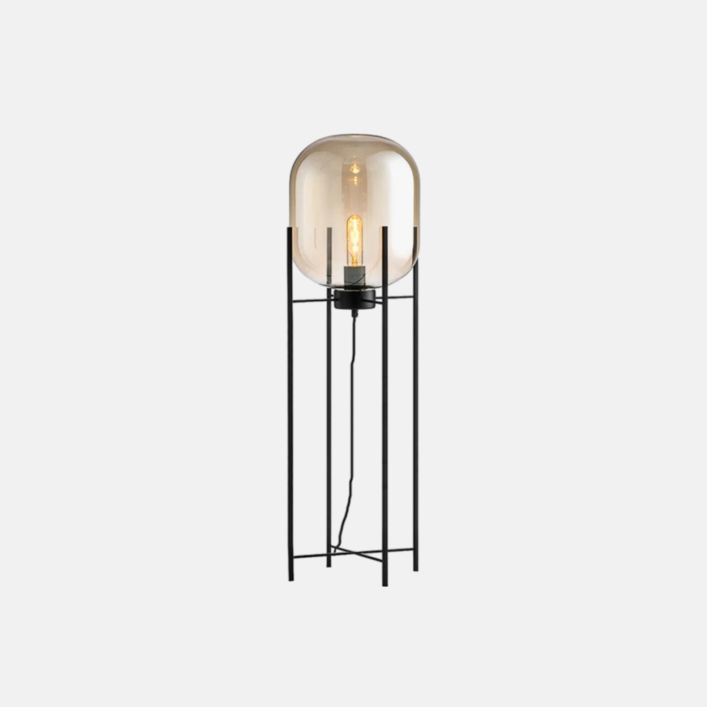 Designer Glass Metal Elliptical Clear Floor Lamp Living Room