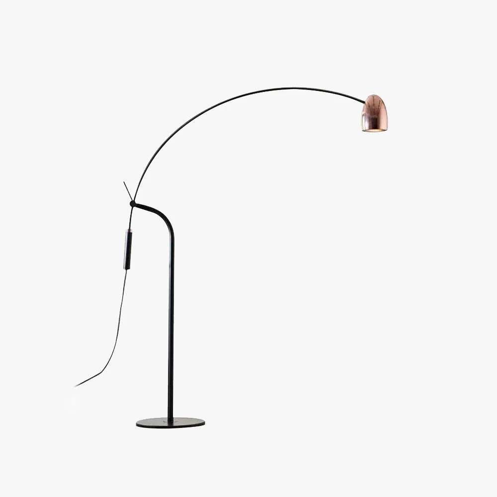Designer 	Metal Curved Champagne Floor Lamp Living room