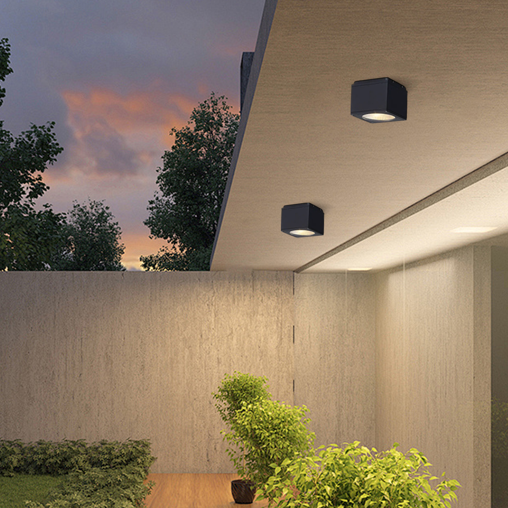 Modern Metal Glass Black Flush Mount Ceiling Light Outdoor