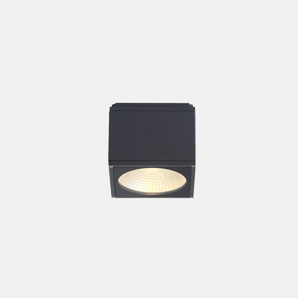 Modern Metal Glass Black Flush Mount Ceiling Light Outdoor
