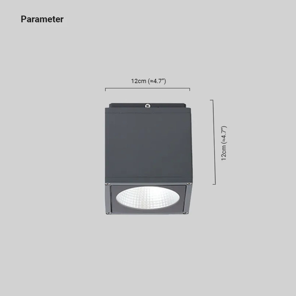 Industrial Metal/Glass Geometric Grey Outdoor Ceiling Light