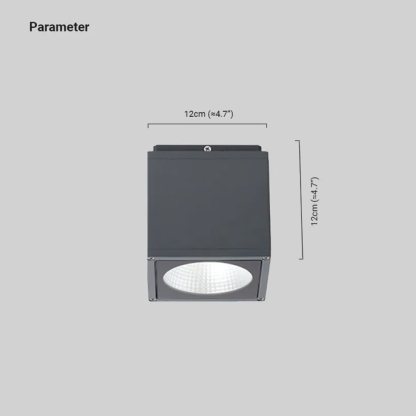 Industrial Metal/Glass Geometric Grey Outdoor Ceiling Light