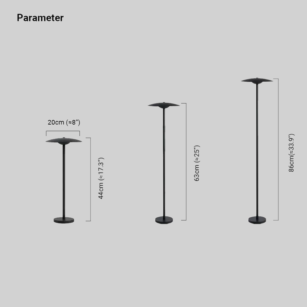 Modern Metal Hooded Black Floor Lamp Outdoor