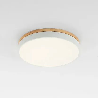 Nordic LED Round Metal/Wood Flush Mount Ceiling Light White/Green