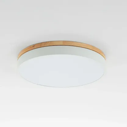 Nordic LED Round Metal/Wood Flush Mount Ceiling Light White/Green