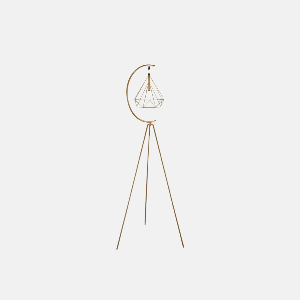 Industrial Metal Diamond Cage Gold Floor Lamp Living Room