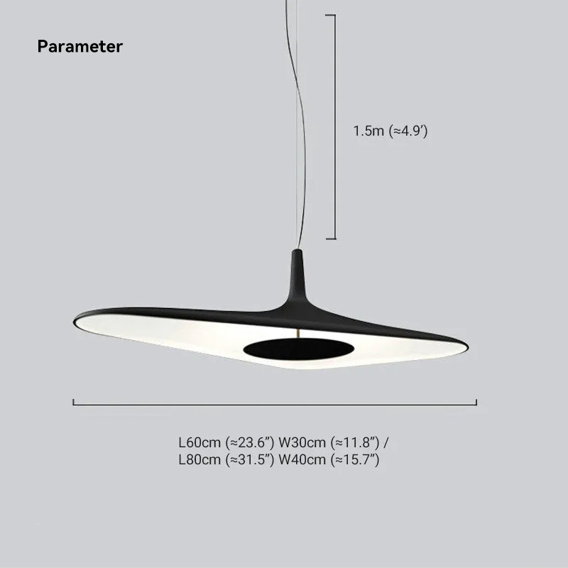 Modern Resin Metal Unusual Hooded Pendant Light Living Room
