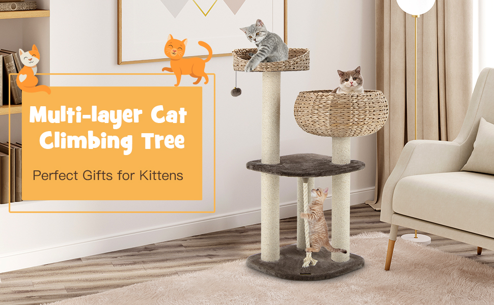 Modern Cat Tree for Indoor Cats