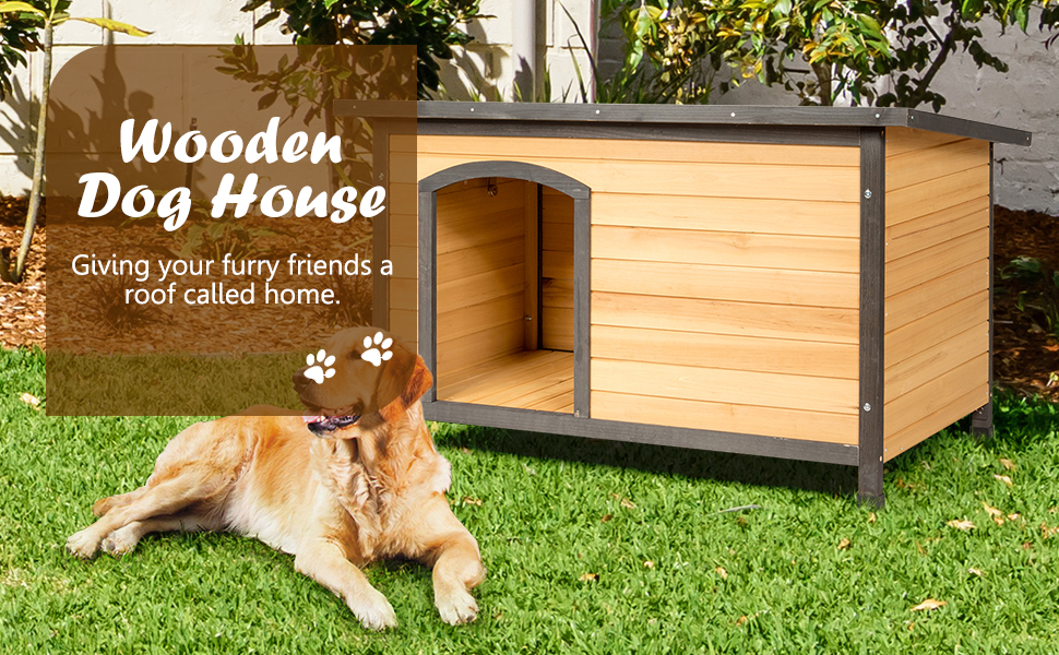 Dog House