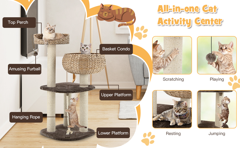 Modern Cat Tree for Indoor Cats