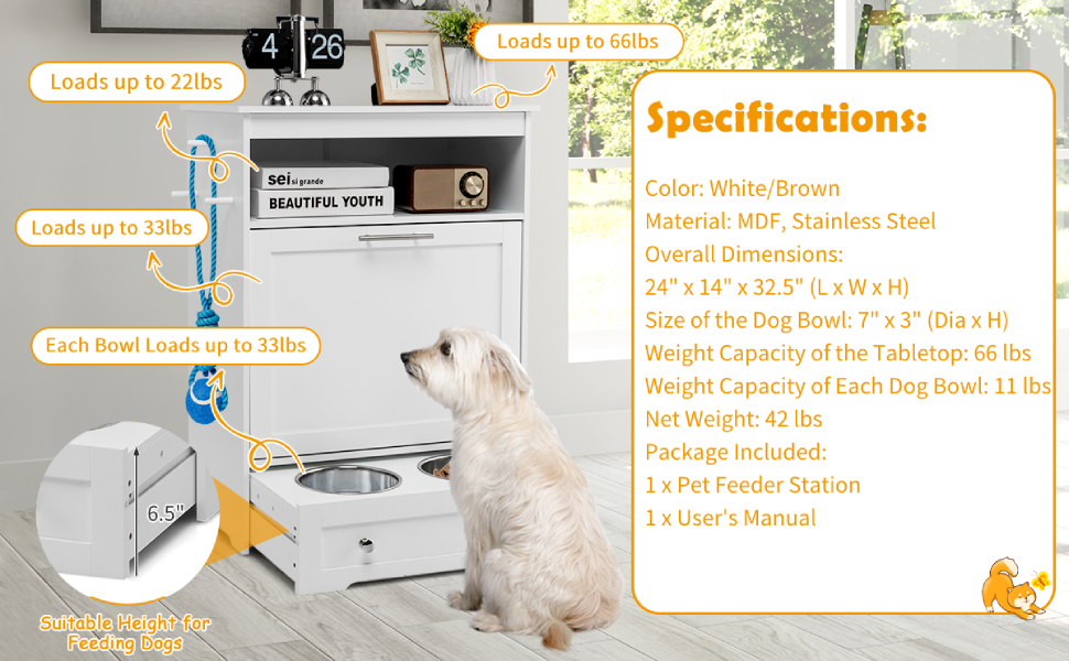 Pet Feeder Station