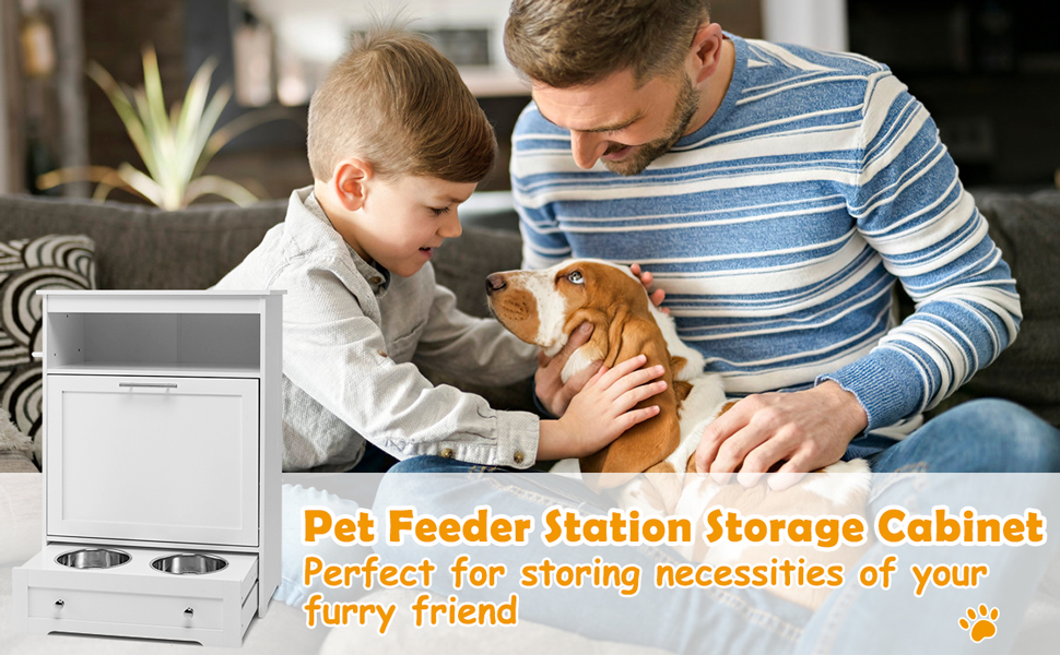 Pet Feeder Station