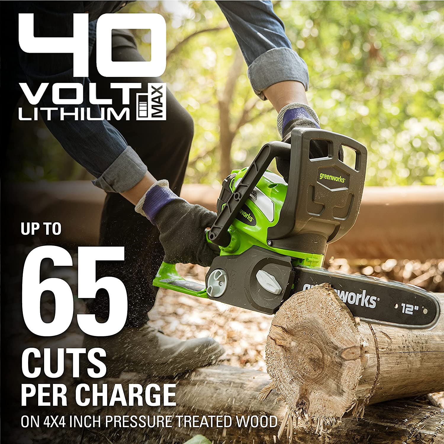 GreenWorks 20262 G-MAX 40V 12-Inch Cordless Chainsaw, 2AH Battery and a Charger Included