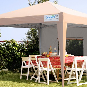 Toldo desplegable 8 x 8