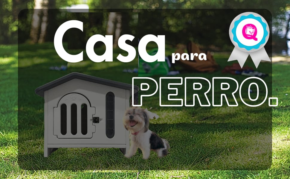 casa para perro chico