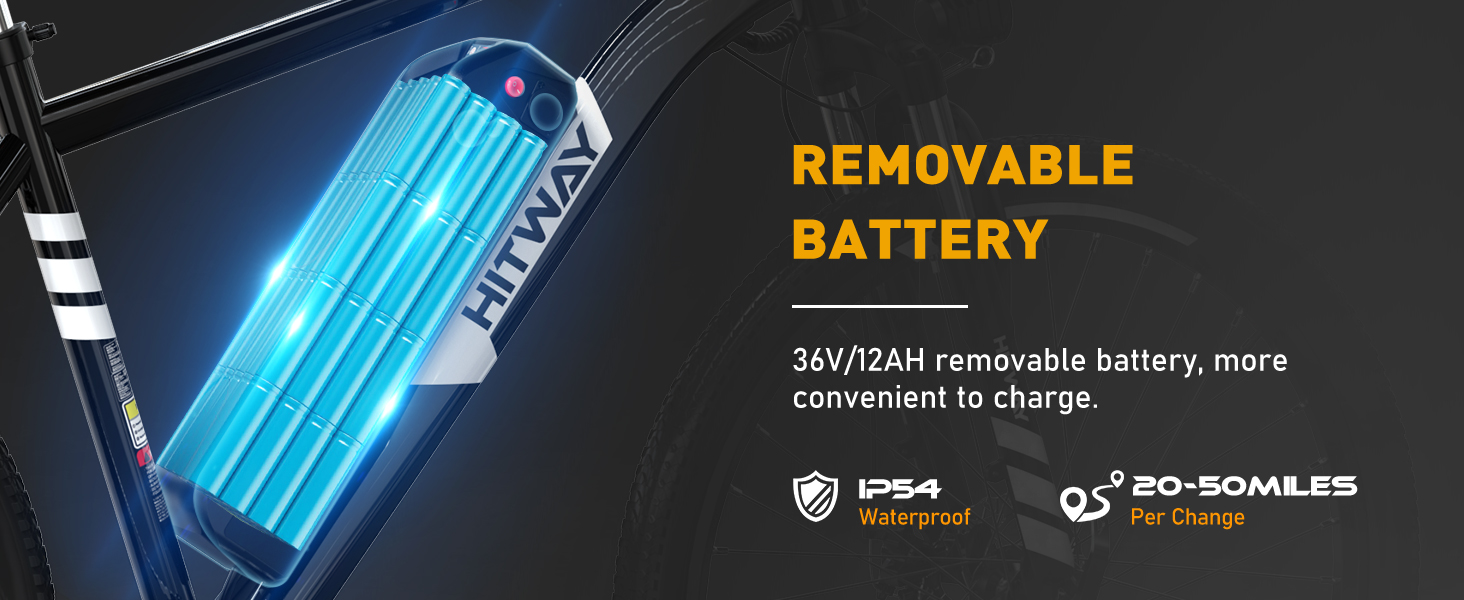 bicicleta el&eacute;ctrica