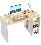 FurnitureR Escritorio para Computadora de Oficina con Almacenamiento Escritorio de Trabajo y Estu...