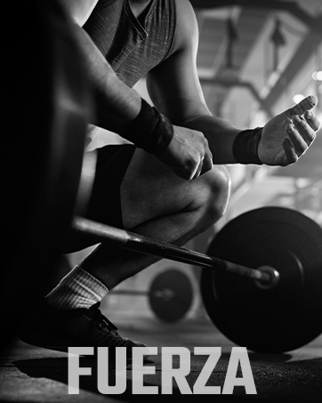 FUERZA