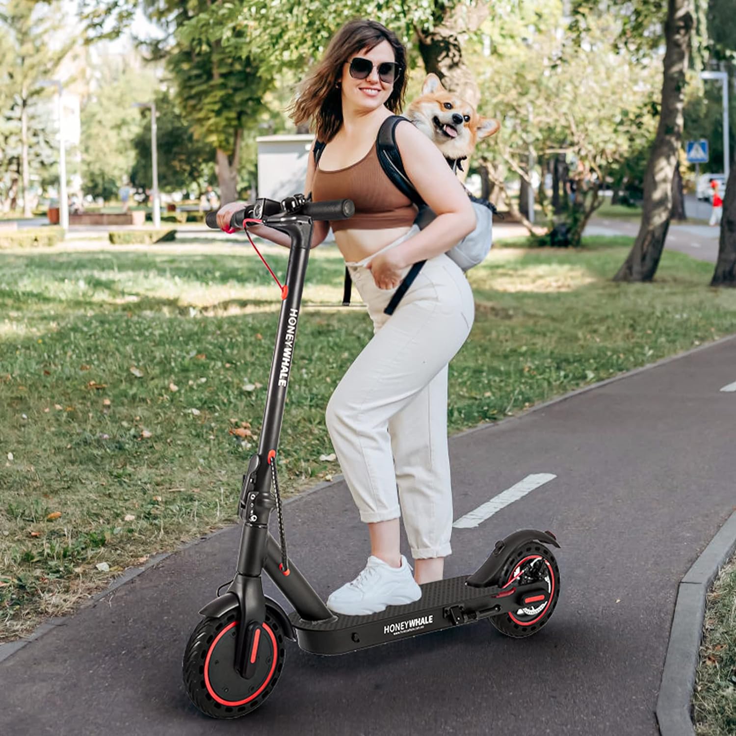 HONEYWHALE M2 Pro Scooter Eléctrico Plegable para Adultos, Motor de 500 W de Potencia Máxima, 22km con una Carga Completa, Velocidad Máxima 32km/h, Patin Eléctrico con App Control Bluetooth