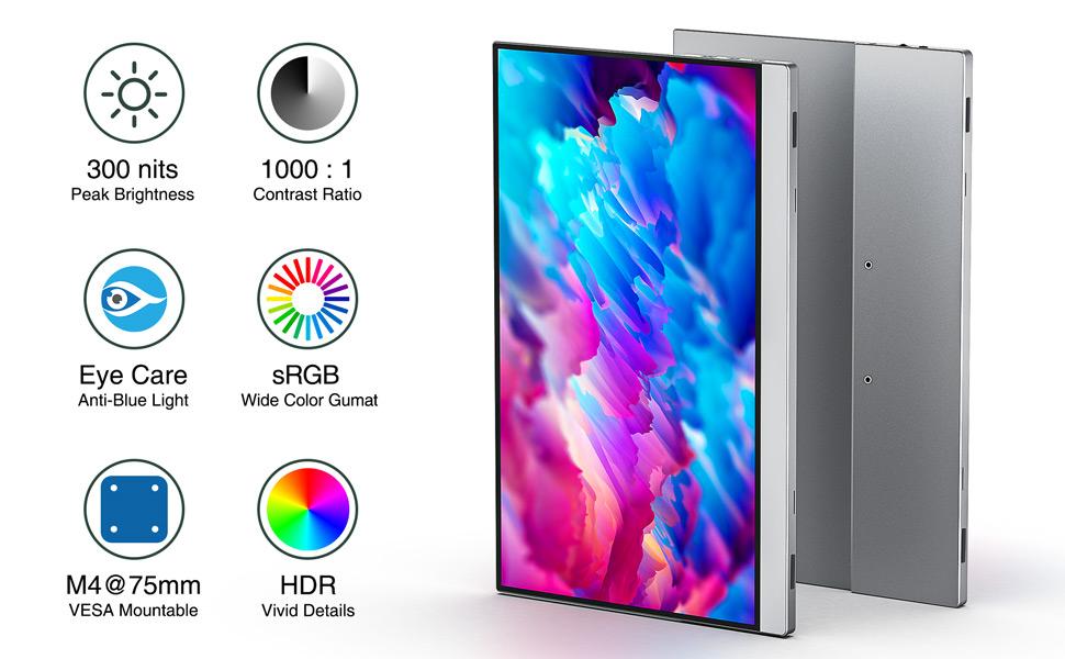 Monitor port&aacute;til