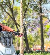 motoneta patin scooter eléctrico adulto Bicicleta Electrica moto adulto plegable todoterreno