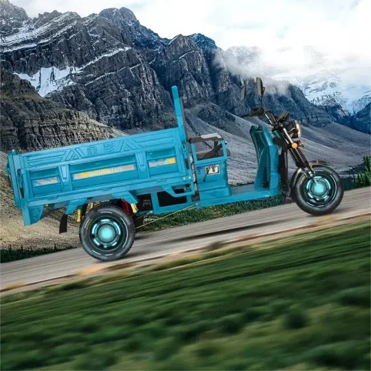 Triciclo eléctrico, triciclo de carga, capacidad de carga 500 kg-750 kg, tamaño: 116*44.1*52.4 pulgadas, para satisfacer una variedad de necesidades de carga.