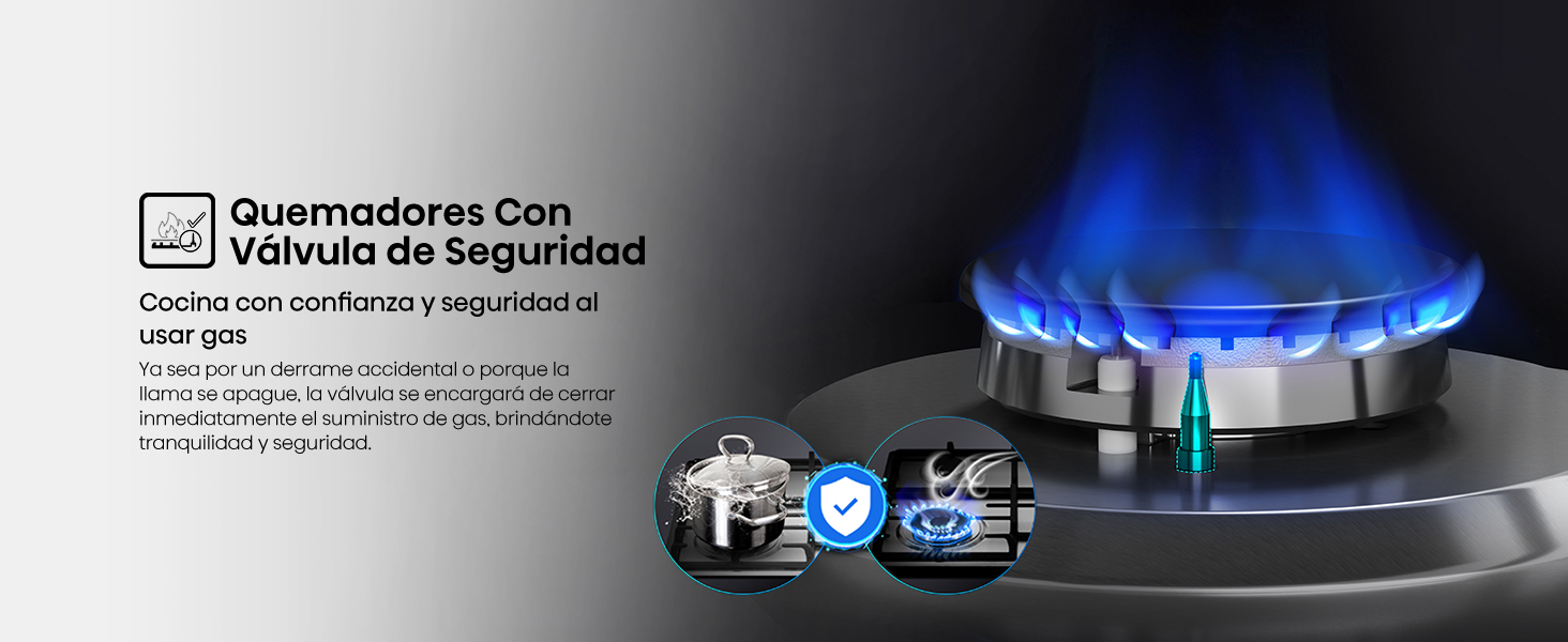 Quemadores Con V&aacute;lvula de Seguridad