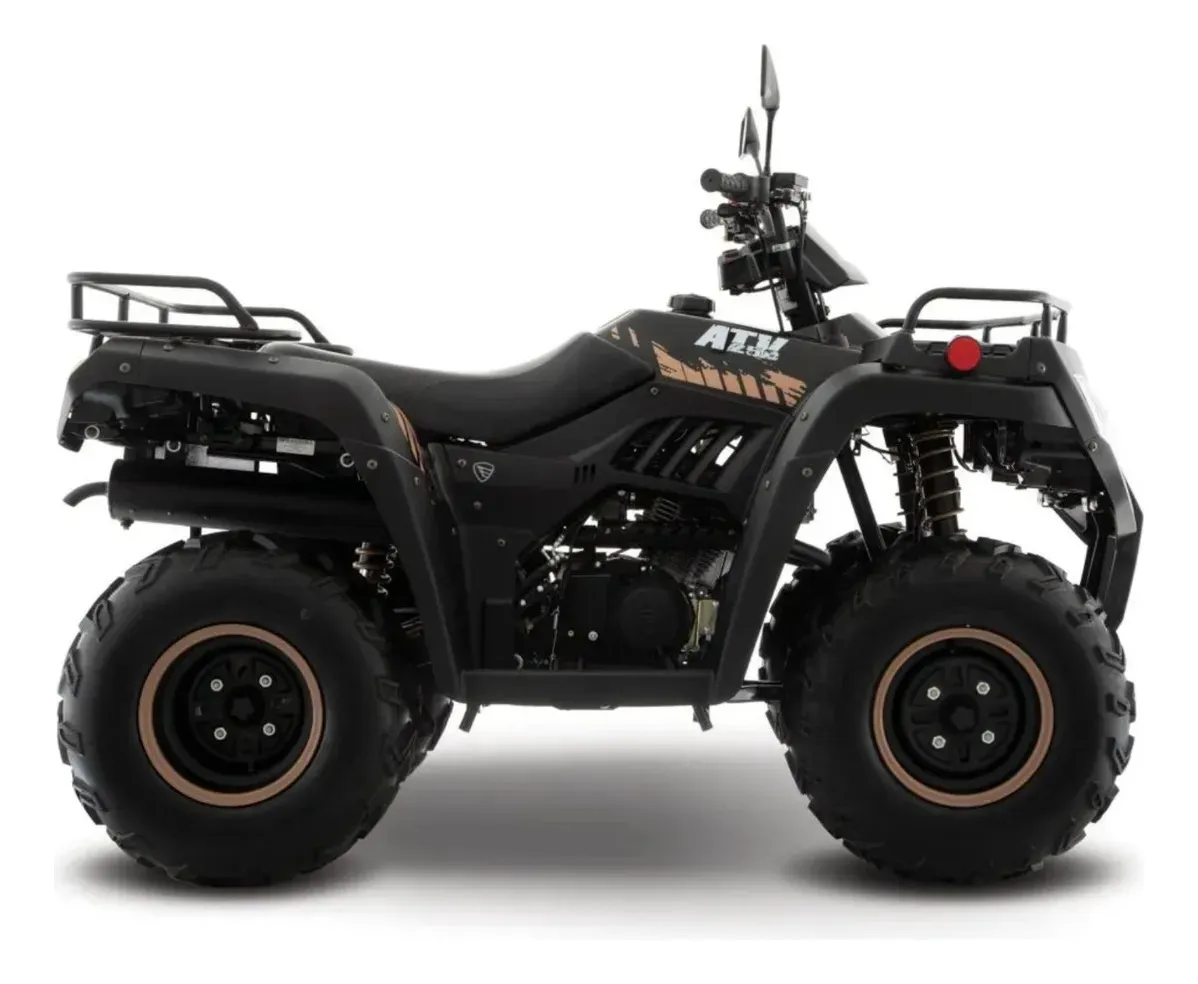 Cuatrimoto Italika Atv250 Negro