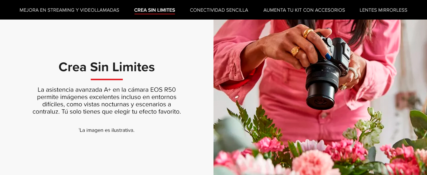 EOS R50