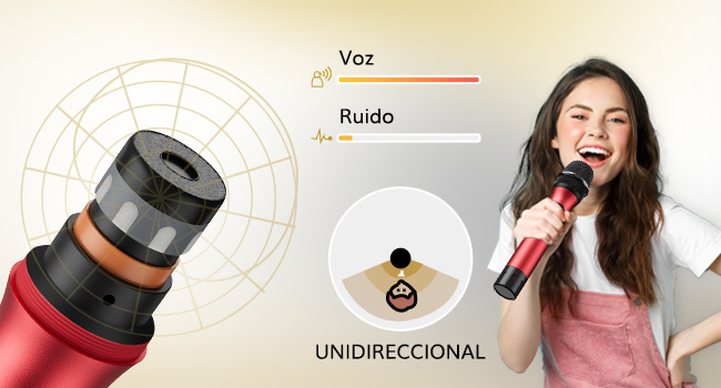 Wireless.Microphone.